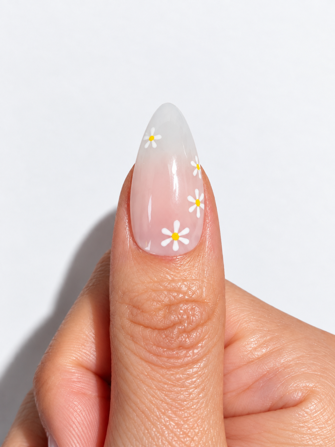 Daisies