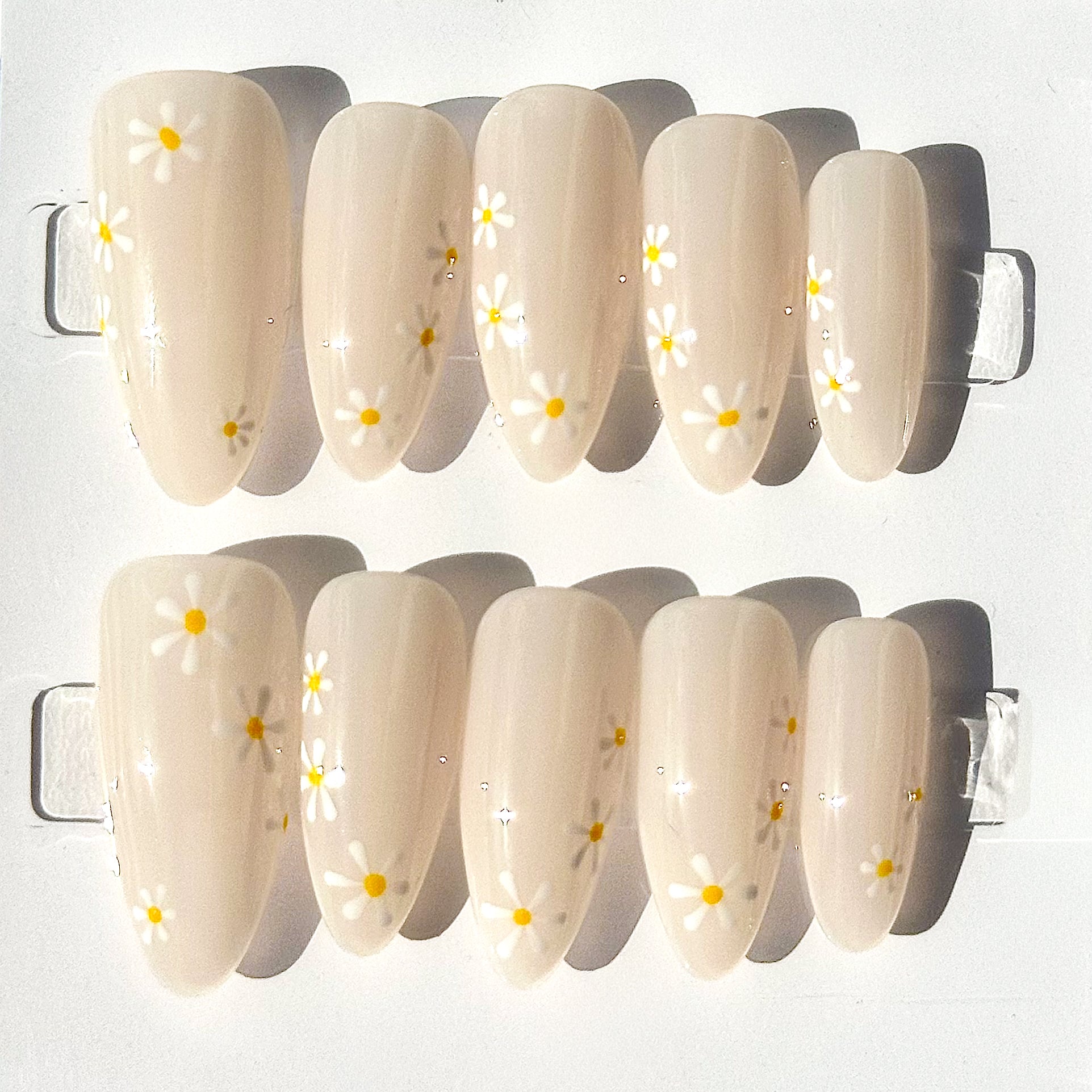 Daisies