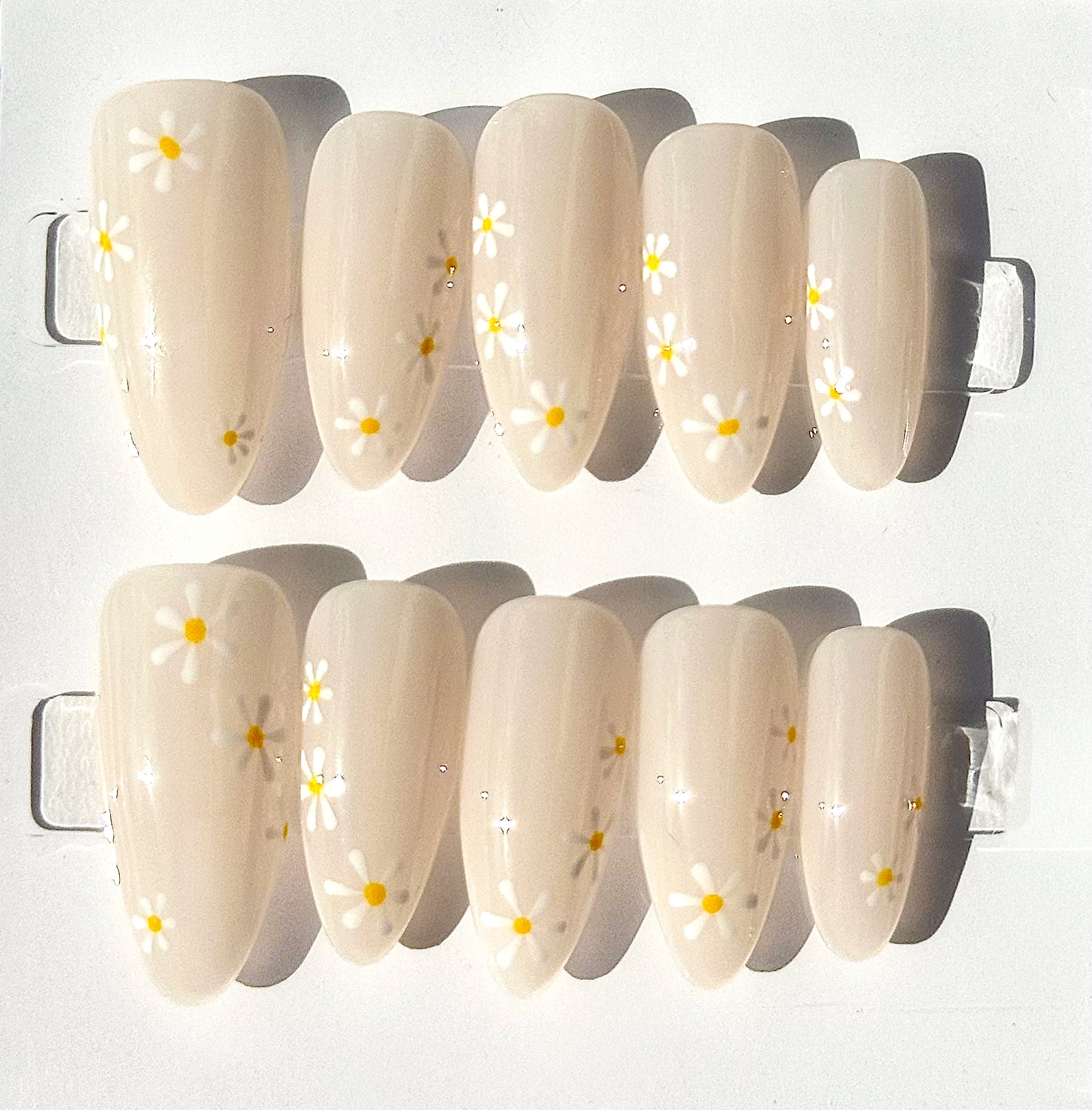 Daisies