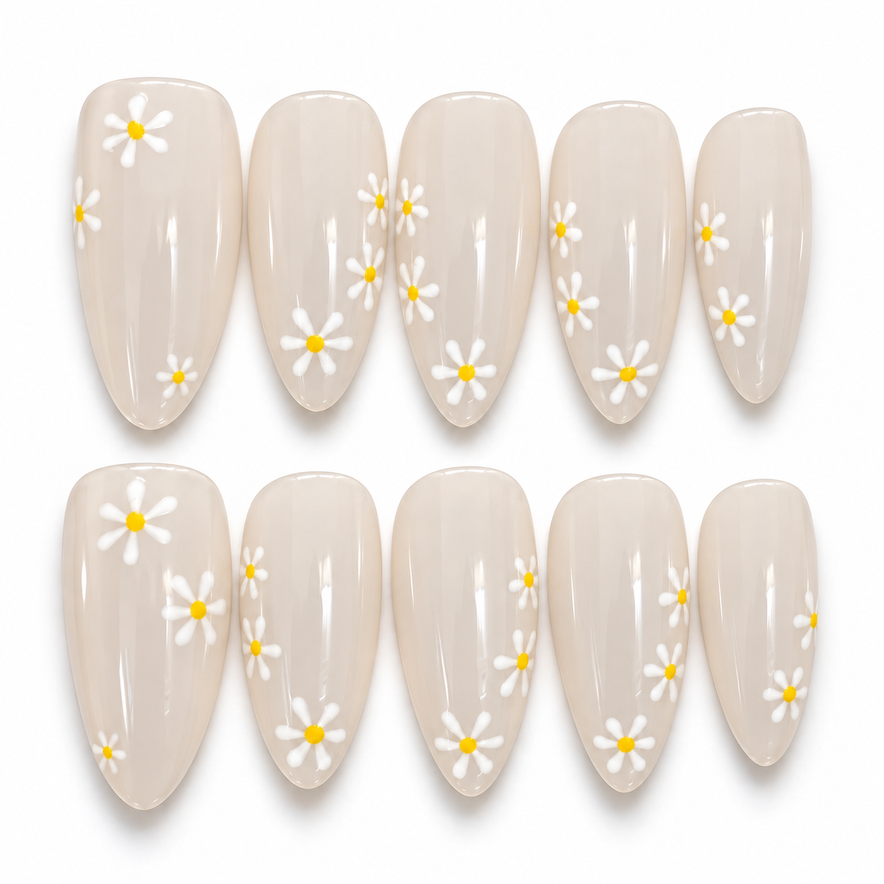 Daisies