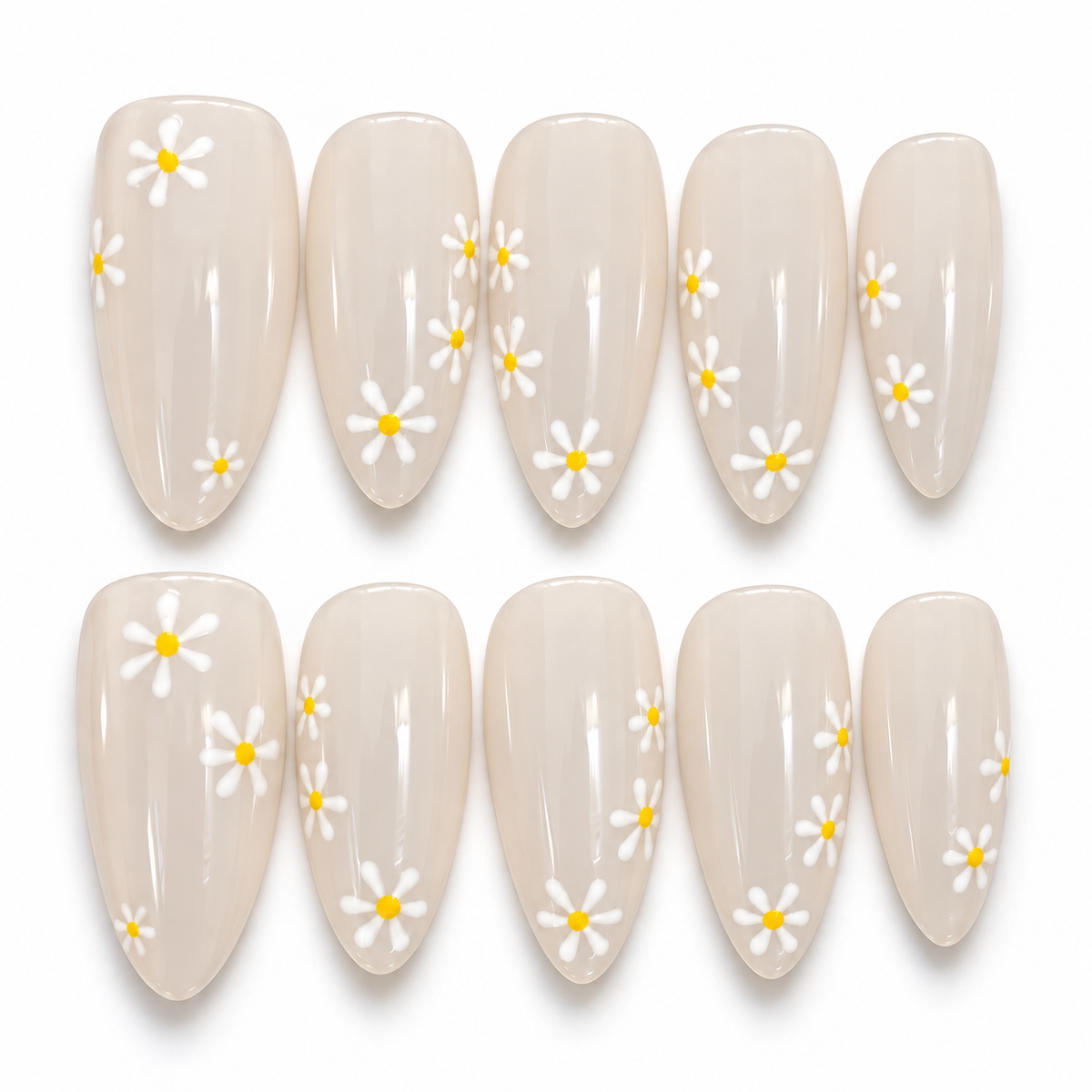 Daisies