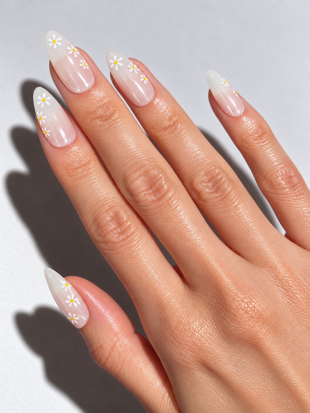 Daisies