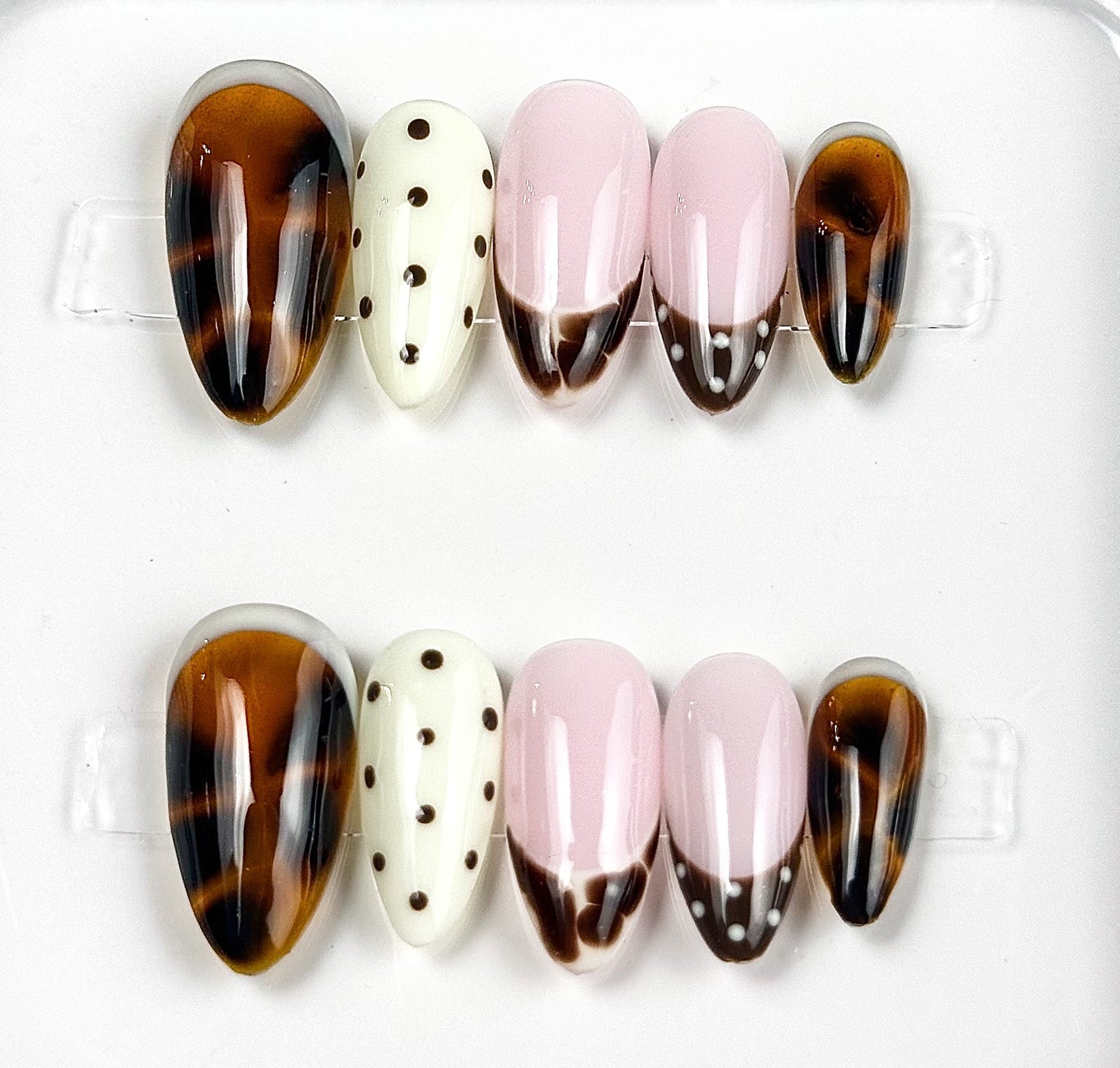 Tortoise & Cream