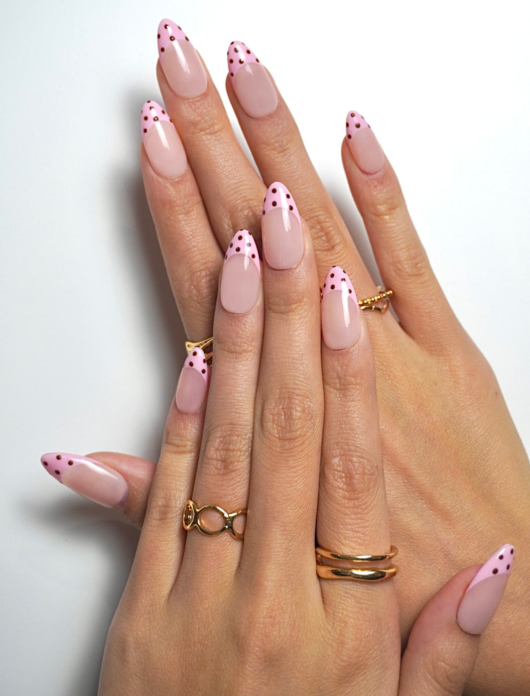 Spotted Flamingo